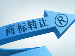 知識產權服務 企業創新發展的護航者